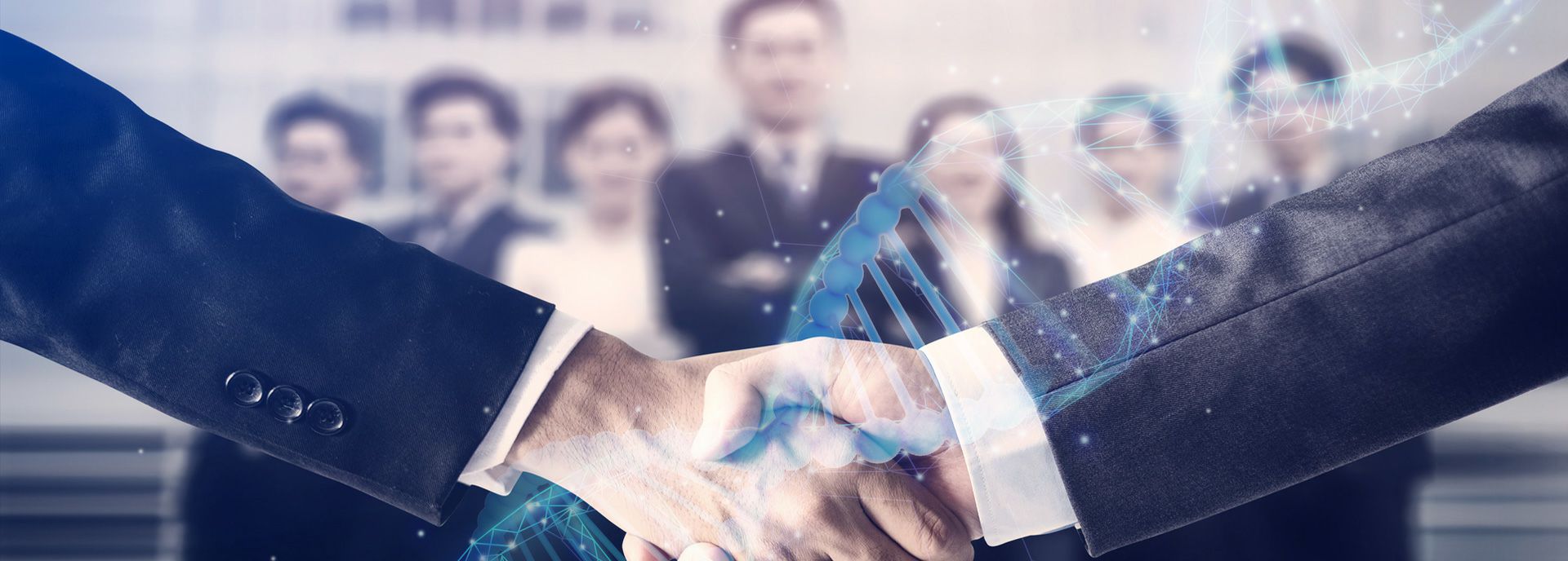 新半岛官方网站_半岛(中国)